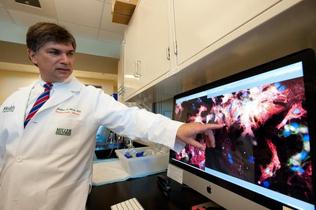 <br /><br /><br />
 <span class="cutline_leadin">FRONTIERS IN CARDIAC CARE: </span> Dr. Joshua Hare, director of the Interdisciplinary Stem Cell Institute of UM’s Miller School of Medicine, explains images of a culture of myocardial cells and myocardial stem cells.</p><br /><br />
<p>