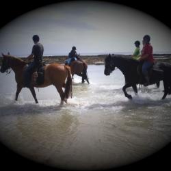 Bain avec les chevaux 1 er jour